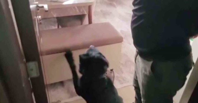 Evindeki sandıktan 814 gram eroin çıktı, "Satmıyorum, kullanıcıyım" dedi