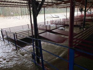 Sağanak sebebiyle Köprüçay taştı, iş yerleri ve araziler sular altında kaldı