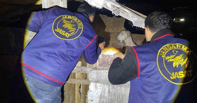 Jandarma kayıp 5 koyun için 3 iş yeri ve 9 meskene ait toplam 24 saatlik güvenlik kamerasını saniye saniye inceledi