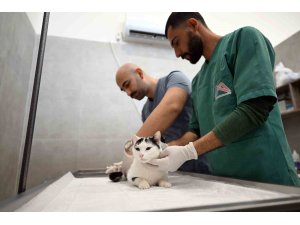 Mersin’de sokak kedileri için yeni merkez hizmete girdi