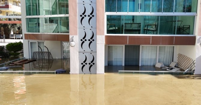 Taşan çaydaki işletme yıkıldı, sulara kapılmak üzere olan bir köpek son anda kurtarıldı