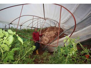 Antalya’da heyelan evlerin duvarlarını çatlattı, seralara dev kayalar düştü