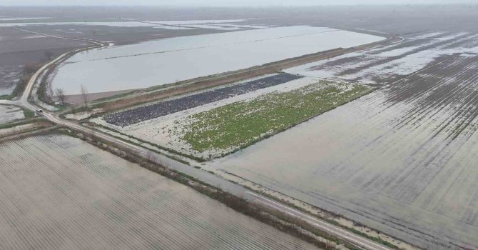 Sağanak yağmurdan sonra binlerce dönüm tarım arazisi sular altında kaldı