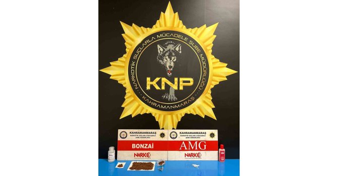 Kahramanmaraş’ta narkotik operasyonu: 2 tutuklama