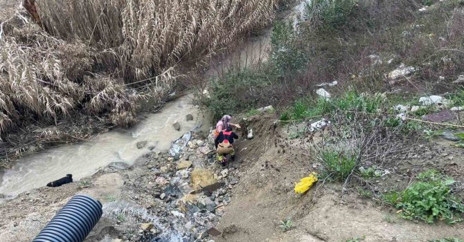 Dere yatağına düşen oğlağı kurtarmak isteyen kadın mahsur kaldı