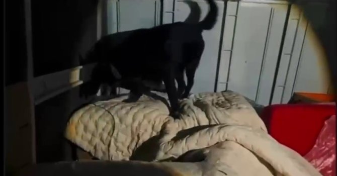 Kamyonet kasasında battaniyeyle saklanan 11 kilo 200 gram uyuşturucu yakalandı