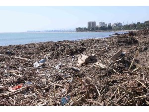 Mersin sahillerinde selin denize taşıdığı balçıklar temizleniyor