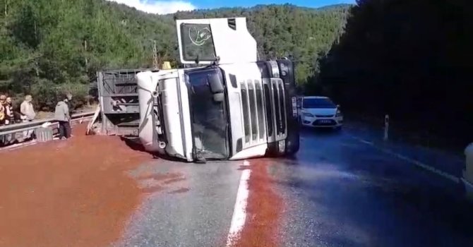 Peyzaj malzemesi yüklü tır devrildi
