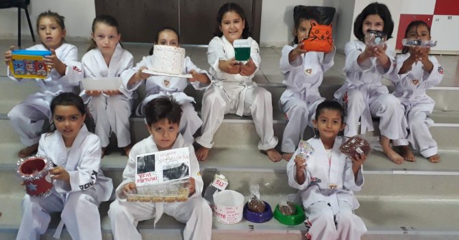 Minik tekvandocular sokak hayvanlarının hayatına dokundu