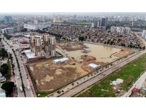 Coniler, Conolara komşu oluyor