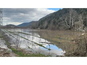 Elmanın başkenti Eğirdir’de yağış bereketi bahçeleri göle çevirdi