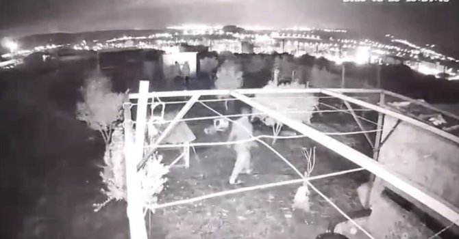 Osmaniye’de hobi bahçesine giren hırsızlar 25 güvercini çaldı