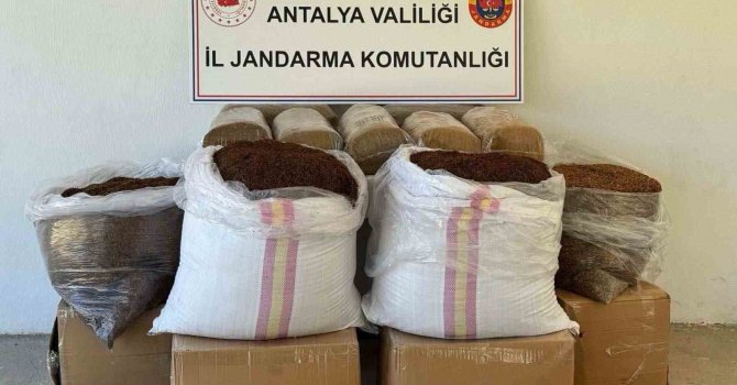 Antalya’da yolcu otobüsünde yarım ton kaçak tütün ele geçirildi