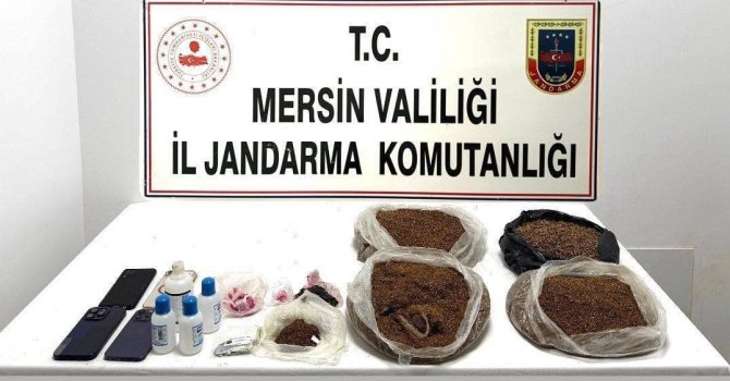 Mersin’de uyuşturucu operasyonu: 10,5 kilo bonzai ele geçirildi