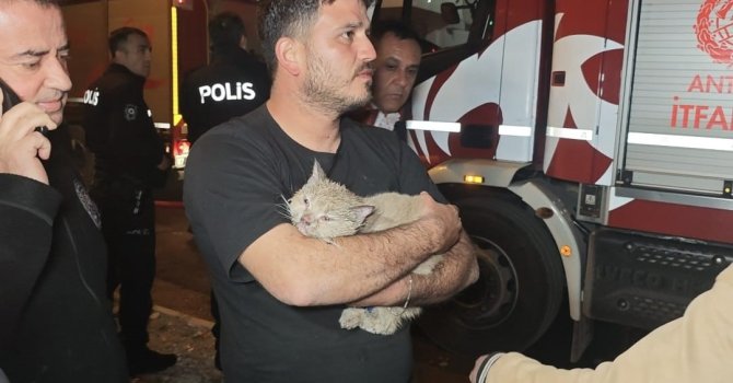 Korkutan yangında mahsur kalan kediyi itfaiye kurtardı