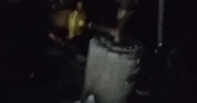 Adana’da 40 güvercin yangında telef oldu