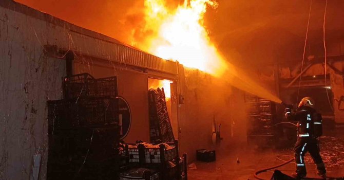 Muz paketleme tesisinde çıkan yangın korku dolu anlar yaşattı