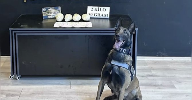 Ocak ayının en başarılı narkotik köpeği "Jardi" oldu