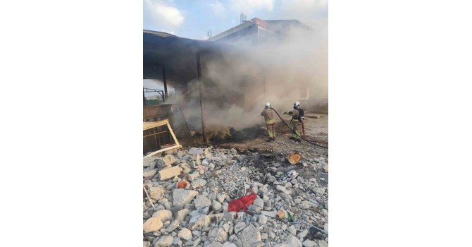 Antakya’da odunlukta çıkan yangın eve sıçramadan söndürüldü