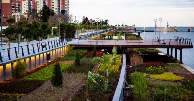 Bataklıktan ışıl  ışıl bir inciye