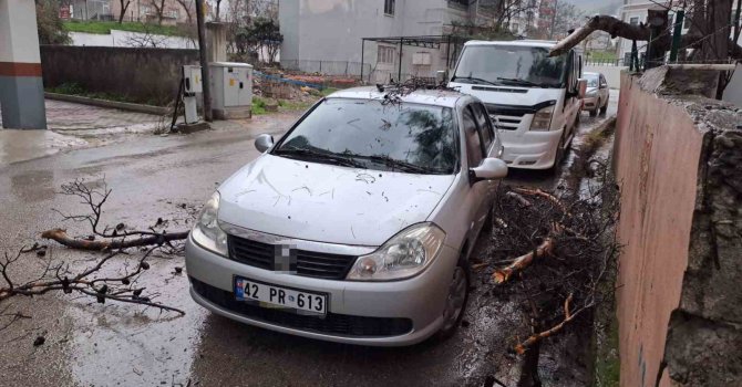 Yağmur ve şiddetli rüzgar çam ağacını devirdi, otomobil zarar gördü