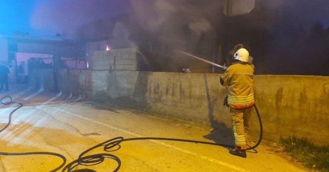 Reyhanlı’da konteyner alevlere teslim oldu