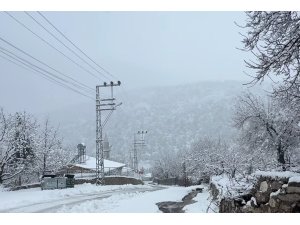 Adana’da yaylalarda kar etkili oldu