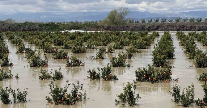 Yağışlar tarım arazilerini vurdu