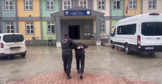 Antakya’da canlı hayvan çalan şüpheli yakalandı