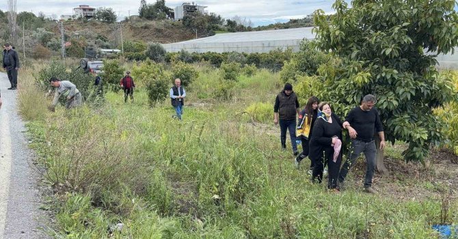 Antalya’da takla atan hafif ticari aracın sürücüsü yaralandı