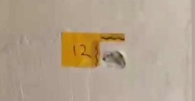 "Polisiz" diyerek eve giren şüpheliler anne ile oğlunu vurdu