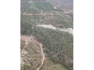 Mersin’de ak pelikanların dansı görsel şölen sundu