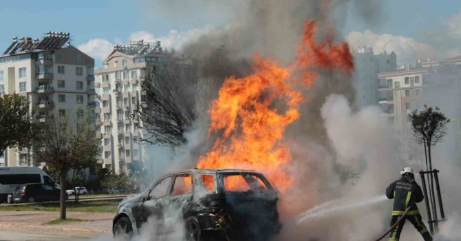 Alev topuna dönen araçtan kedisiyle birlikte son anda çıktı: Sahibinin omuzundan bir an olsun ayrılmadı