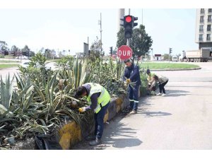 Hatay Büyükşehir Belediyesi bitkide dışa bağımlılığı en aza indirmeyi hedefliyor