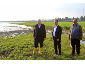 TZOB Genel Başkanı Bayraktar: "Üreticilerimize muhakkak nakdi yardım yapılması gerekiyor"