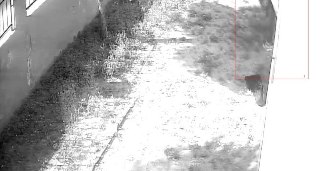 Apartman dairesine tırmanıp girdi, dizüstü bilgisayar çaldı