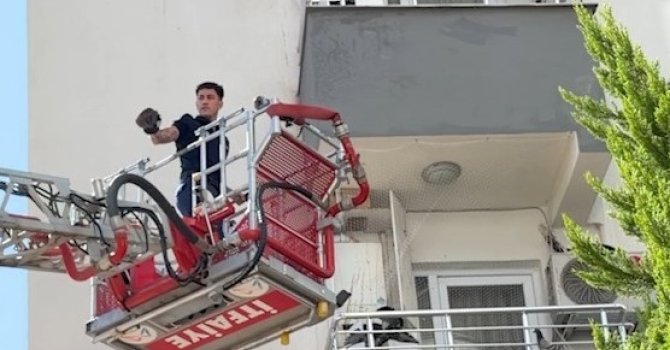 Balkon filesine takılan güvercini itfaiye kurtardı