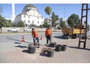 Mersin’de ağaçlandırma seferberliği başladı