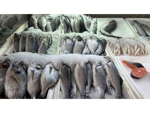 Kahramanmaraş’ta su ürünleri av yasağı başladı