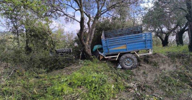 Zeytin bahçesine uçan patpatın sürücüsü öldü