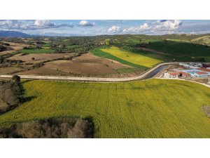 Devlet destekli kanola üretimi Adanalı çiftçinin yüzünü güldürdü