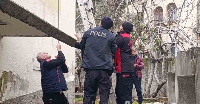 Çatı katında mahsur kalan kediyi polis ve itfaiye kurtardı