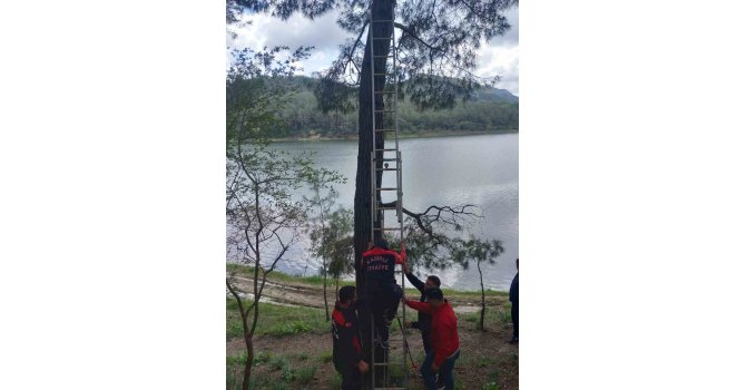 Osmaniye’de ağaca takılan kargayı itfaiye kurtardı