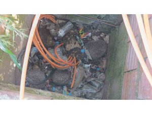 İtfaiyeden rögarda üç kirpi, bacada serçe mesaisi