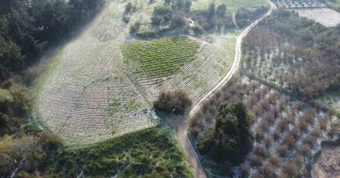 Mersin’de misket büyüklüğünde dolu etkili oldu: Orman ve bahçeler beyaza büründü