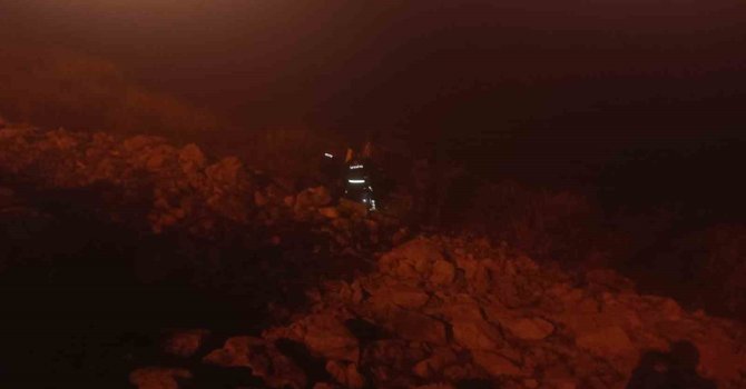 Kontrolden çıkan otomobil göl kenarına uçtu: 1 yaralı