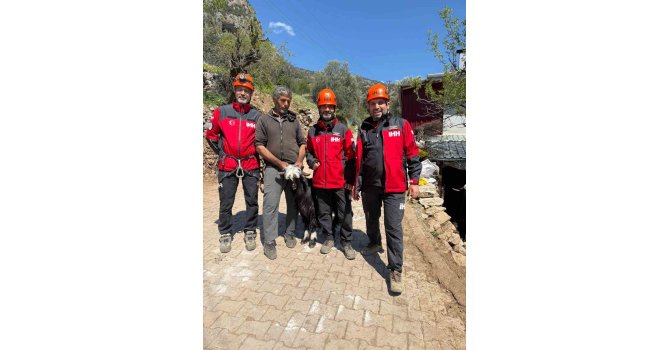 Mahsur kalan 2 keçi, 100 metrelik sarp araziden kurtarıldı
