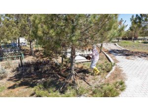 Kahramanmaraş’ta mezarlıklarda yenileme başladı