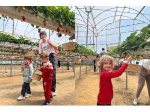 ALKÜ’lü minikler fidan dikip çilek topladı