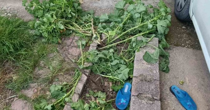 Antalya’da küçük çocuk ikinci kattan düştü, olayı kırıklarla atlattı